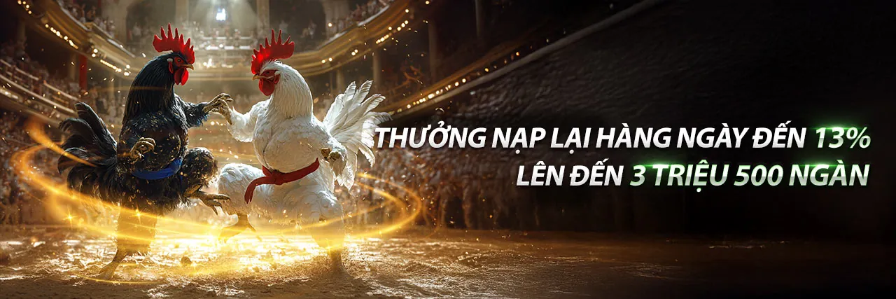 Đá Gà Trực Tuyến Hấp Dẫn tại Debet2 Win