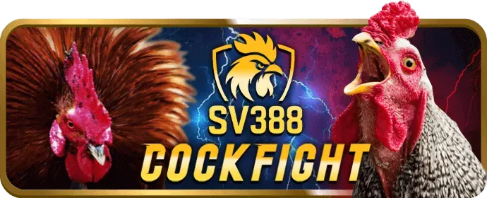 Cá cược thể thao Debet2 Win